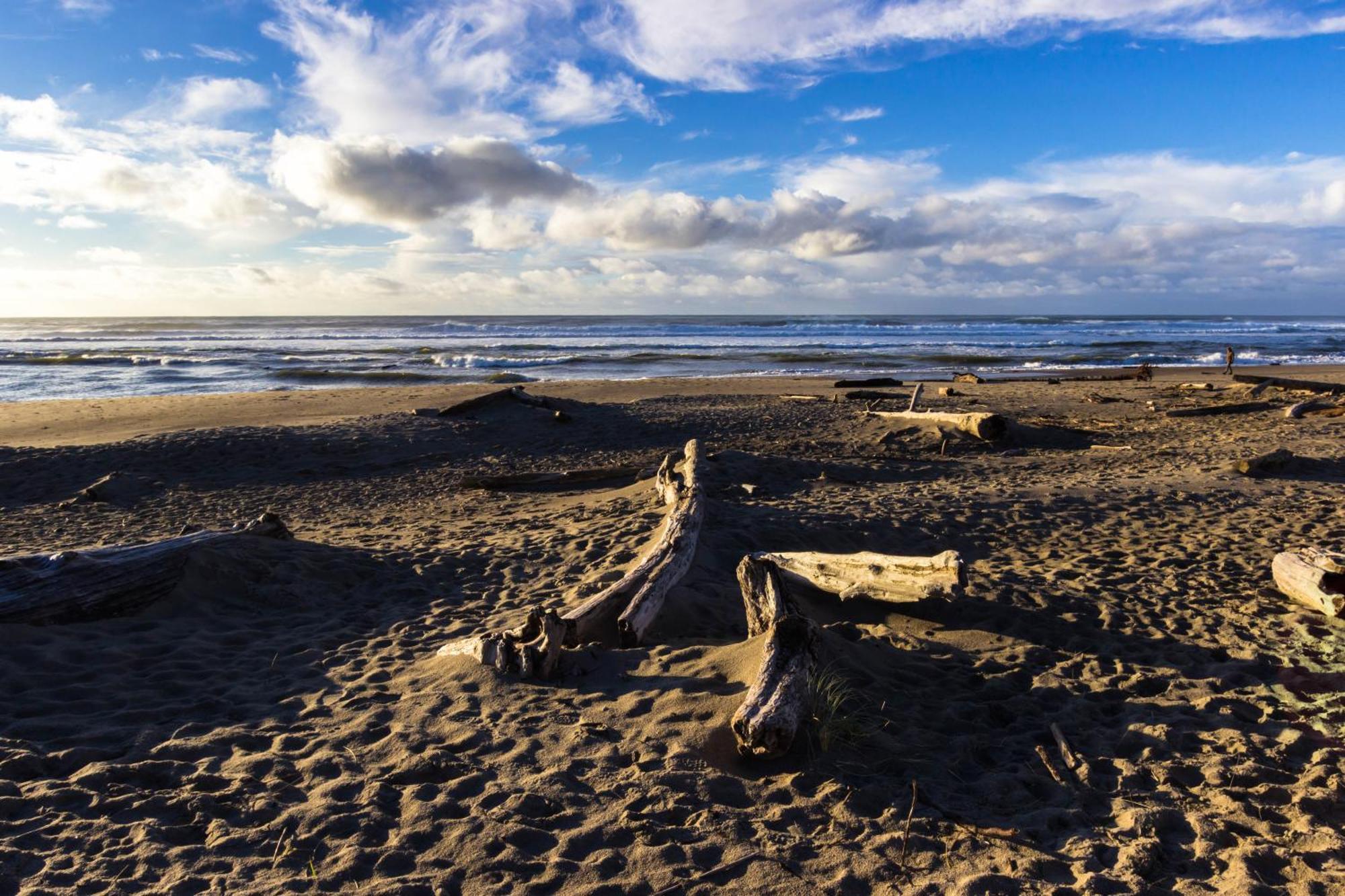 Apartamento The Whale At Sandstone Point Lincoln City Habitación foto